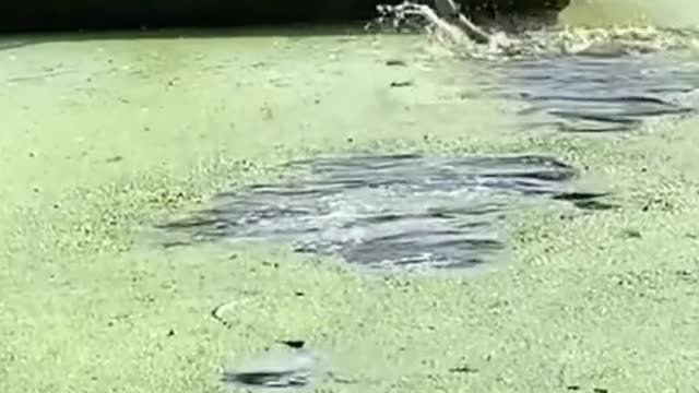 Fishing techniques