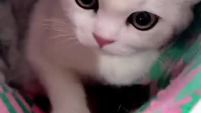 operating system and manages computer