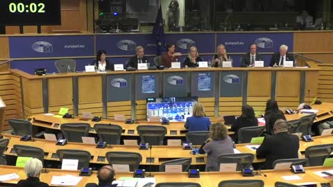 Pfizer representitive's full hearing in the special COVID committee of the European Parliament