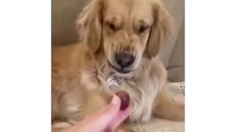 Because you liked my archive so far, here is another one!