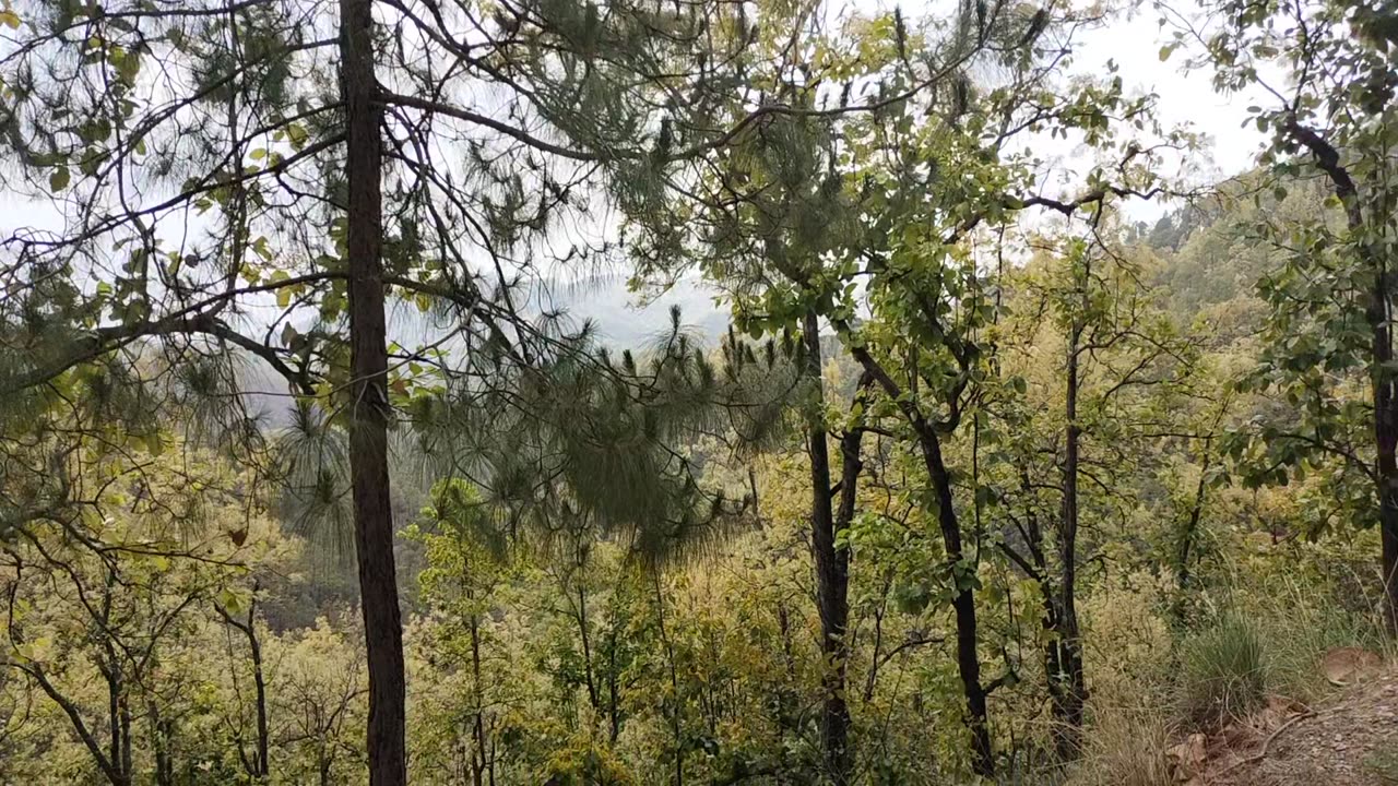 लैंसडाउन