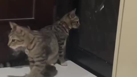Copying machine 😂
