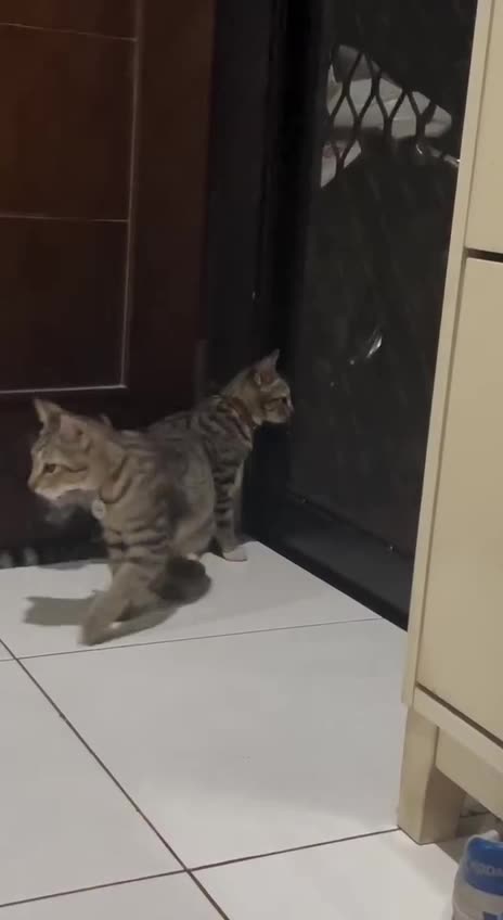 Copying machine 😂