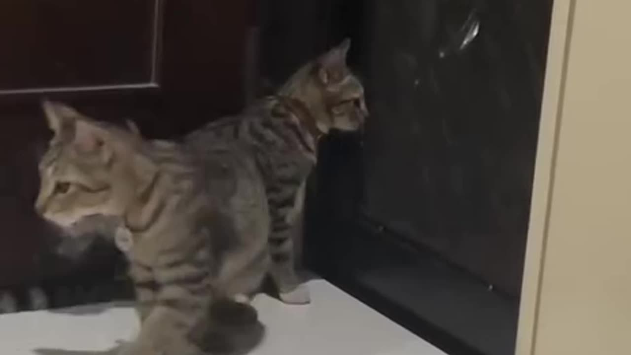 Copying machine 😂