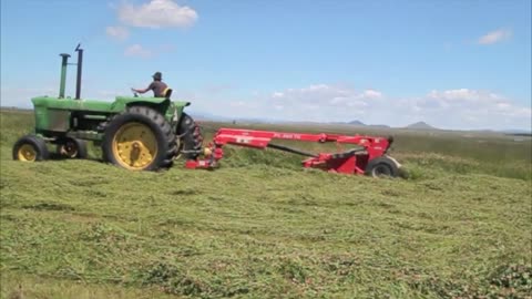 Vintage 4320 swathing tall Timothy