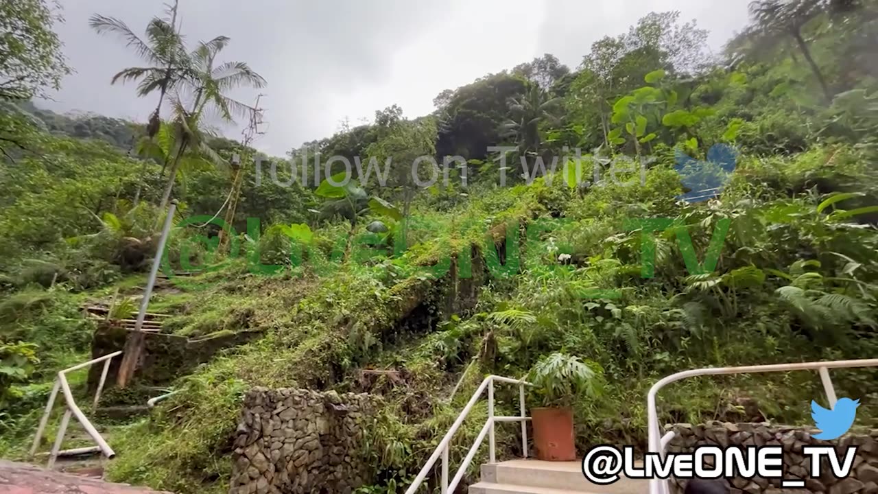 Santa Rosa de Cabal, Colombia is set in a valley and surrounded by a tropical rainforest