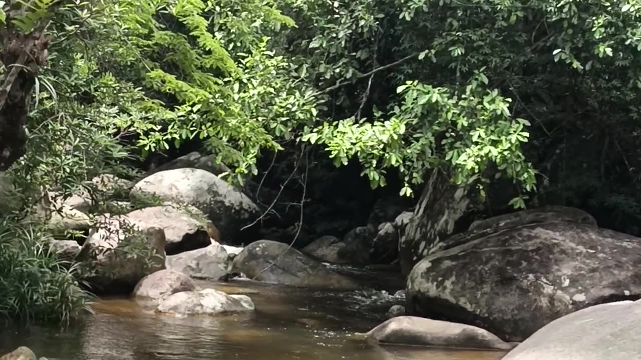 Rừng khánh hoà