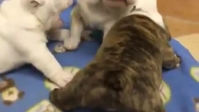 Don't waste your time and mood when meeting unpleasant th