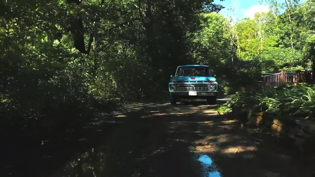 Riverside Camping with my Dog and Old Truck-5