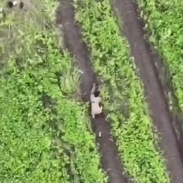 Ukrainians Drop Instructions to Lead Soldiers to Safety