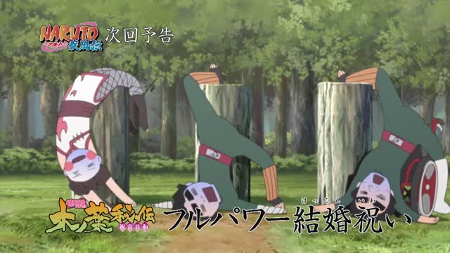 Official Naruto Shippuden Episode 495 Trailer