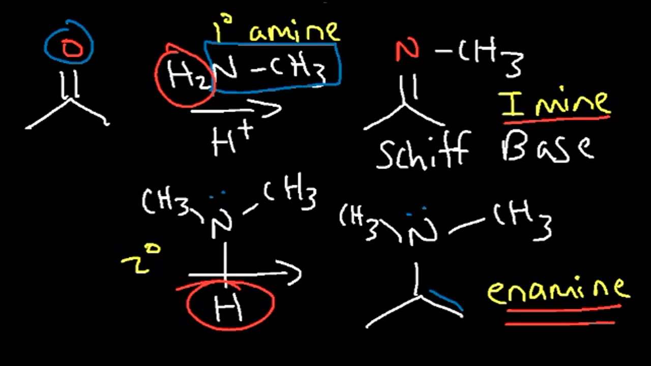 MCAT Organic Chemistry Review Reactions Summary Study Guide Part 2