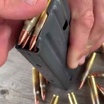 New Vegas Service Rifle