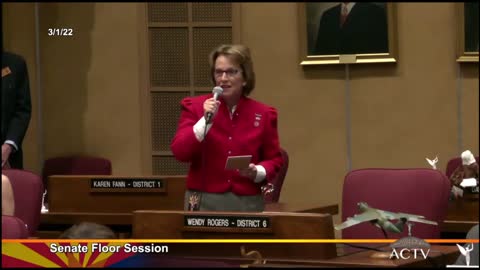 AZ Sen. Wendy Rogers Addresses State Senate Over Their Vote To Censure Her