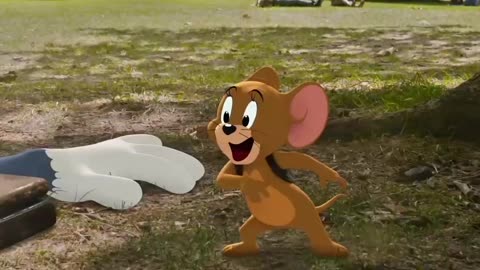 Tom and jerry