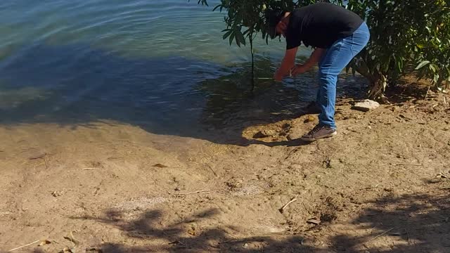 Tiny Dog is Ready to Take a Dip