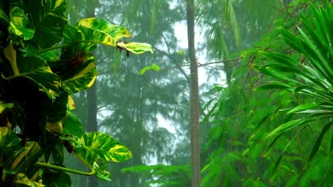 Relaxing sound of rain