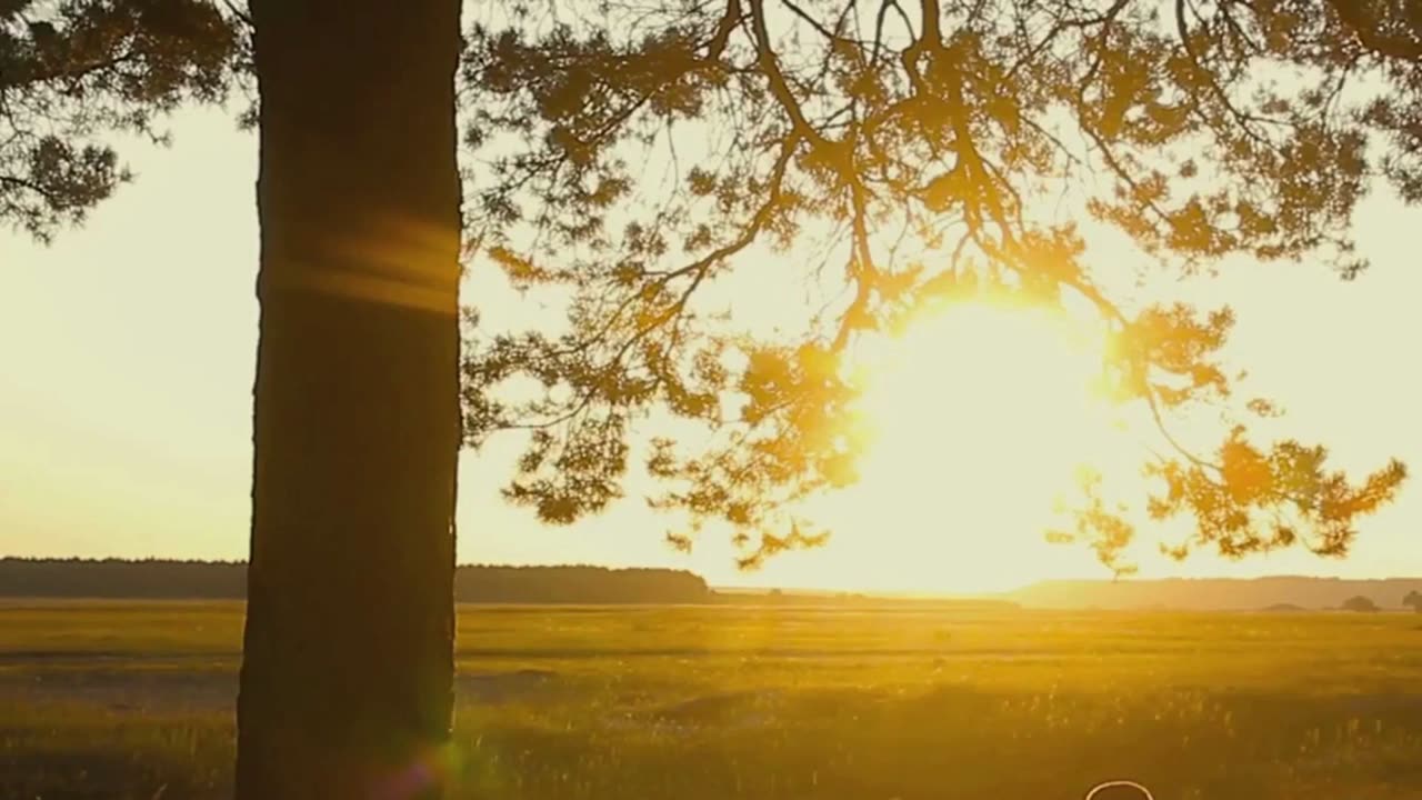 Social Media -Lost Real Pleasure