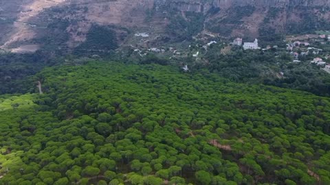 beautiful nature