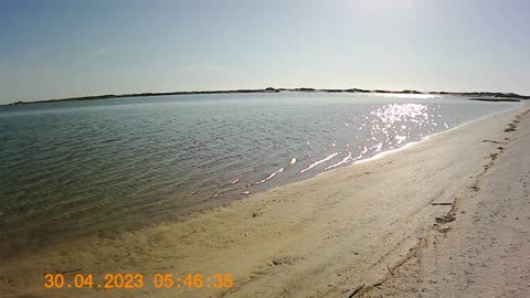 Huguenot Park view from campsite, visit to nesting Laughing Gulls