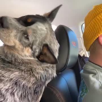 Lovely day for a drive.mp4