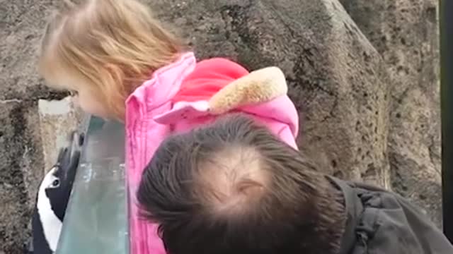 funny fails compilation, try not to laugh hihi