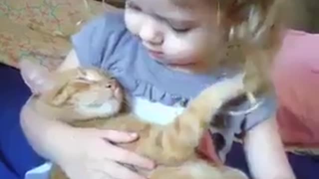 Love between a girl and a wonderful cat