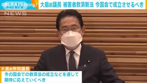 大島前衆院議長 旧統一教会の被害者救済法案 今国会で成立を(2022年11月17日)_1