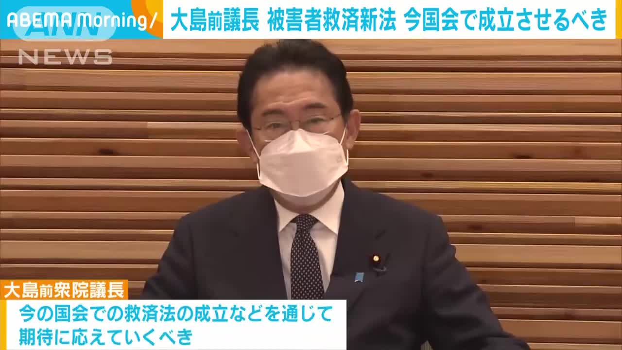 大島前衆院議長 旧統一教会の被害者救済法案 今国会で成立を(2022年11月17日)_1