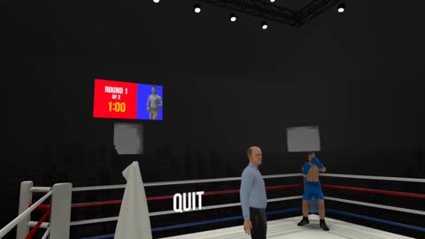 playing vr boxing game