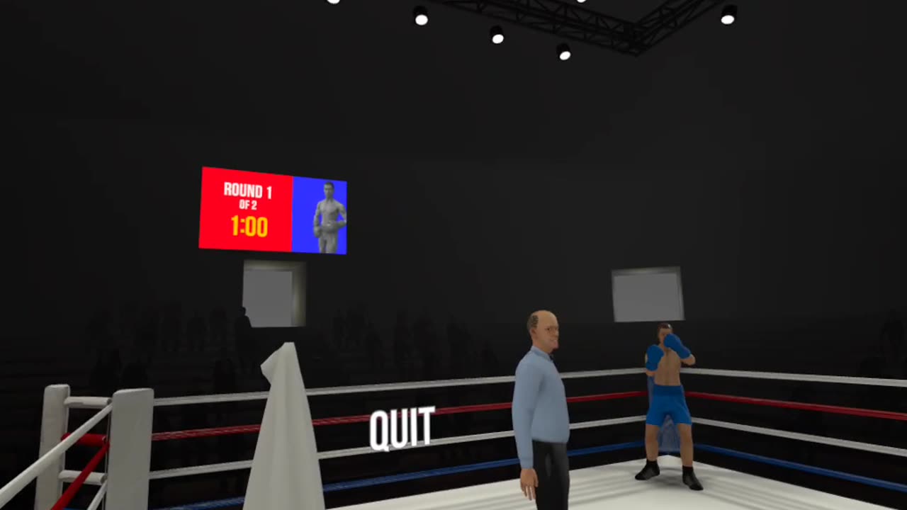 playing vr boxing game