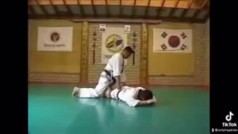 Hapkido