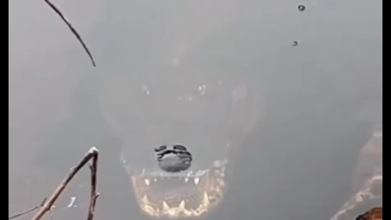 He was ready 😲