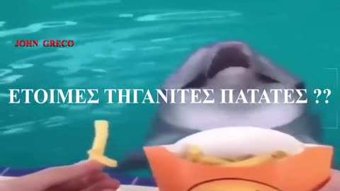ΠΡΟΧΕΙΡΑ ΦΑΓΩΣΙΜΑ - FAST FOOD