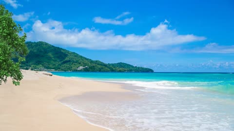 Relax Library: Video 29.Paradise Beach . Relaxing videos and sounds