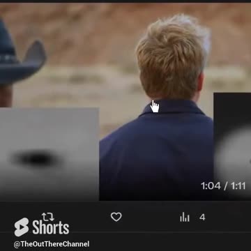 TV show evidence review shows they are clueless or acting w/lies what they filmed in this case a FLY