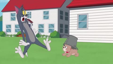 Tom and jerry cartoon