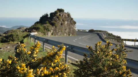 Car Driving on a Curvy Road (Free Stock Footage. No Watermark.)