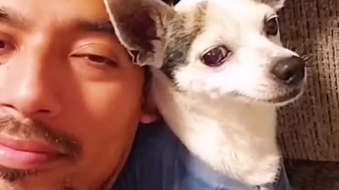 WATCH HOW YOU CAN GET HAPPIER WITH PETS