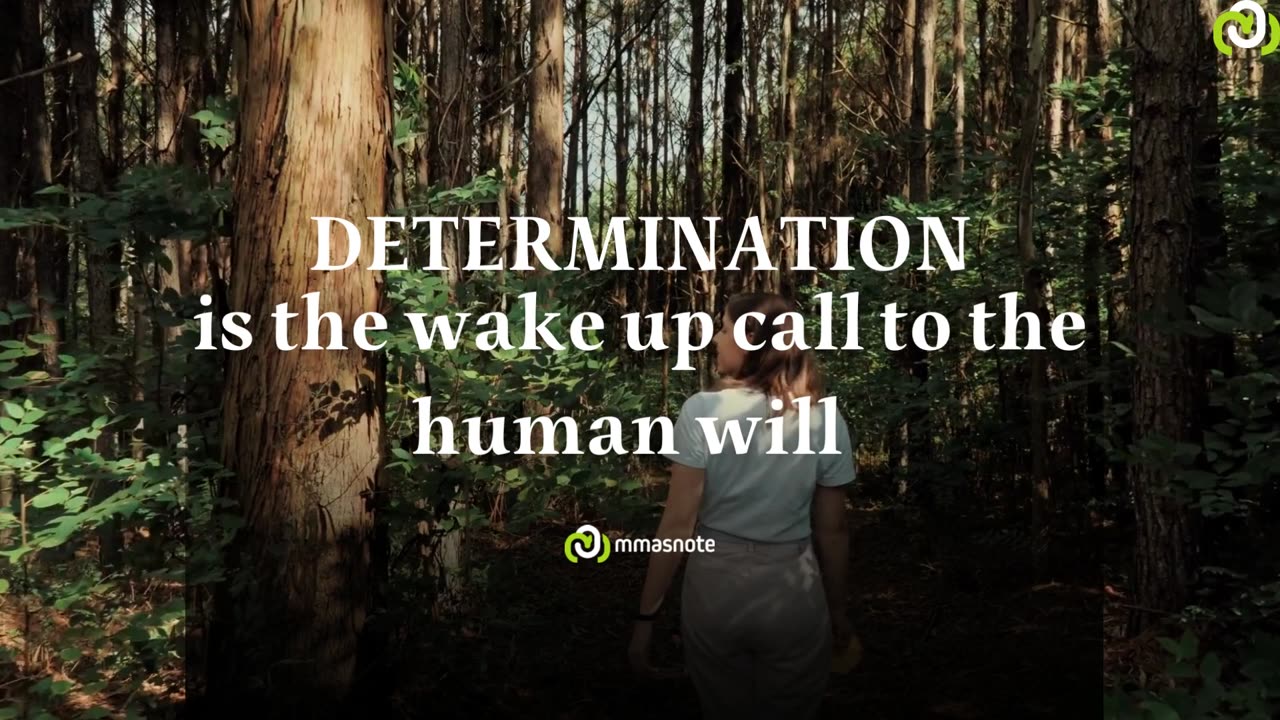 DETERMINATION is the wake up call to the human will | mmasnote