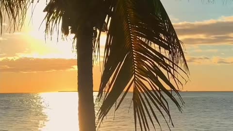 Relax with the Soothing Sounds of the Beach 🌊☀️