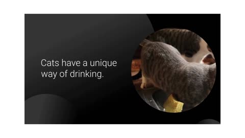"Mind-Blowing Facts About Cats!"