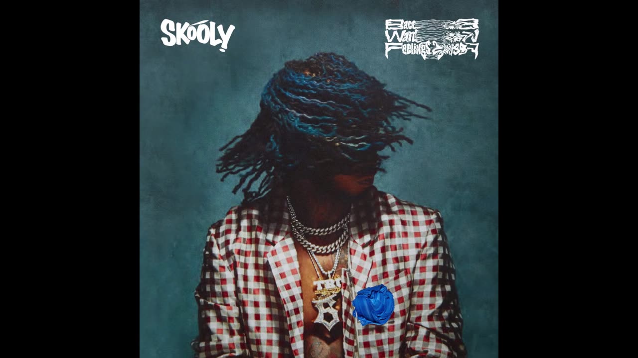 Skooly - BacCWArdFeELiNgS Mixtape