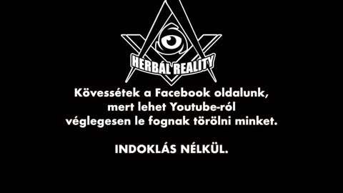 Egy kuplerájban is ezerszer tisztességesebbek a feltételek.