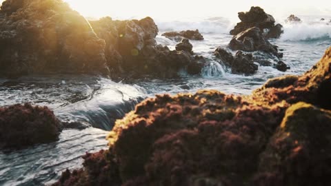Relaxing Water Sounds for Sleep