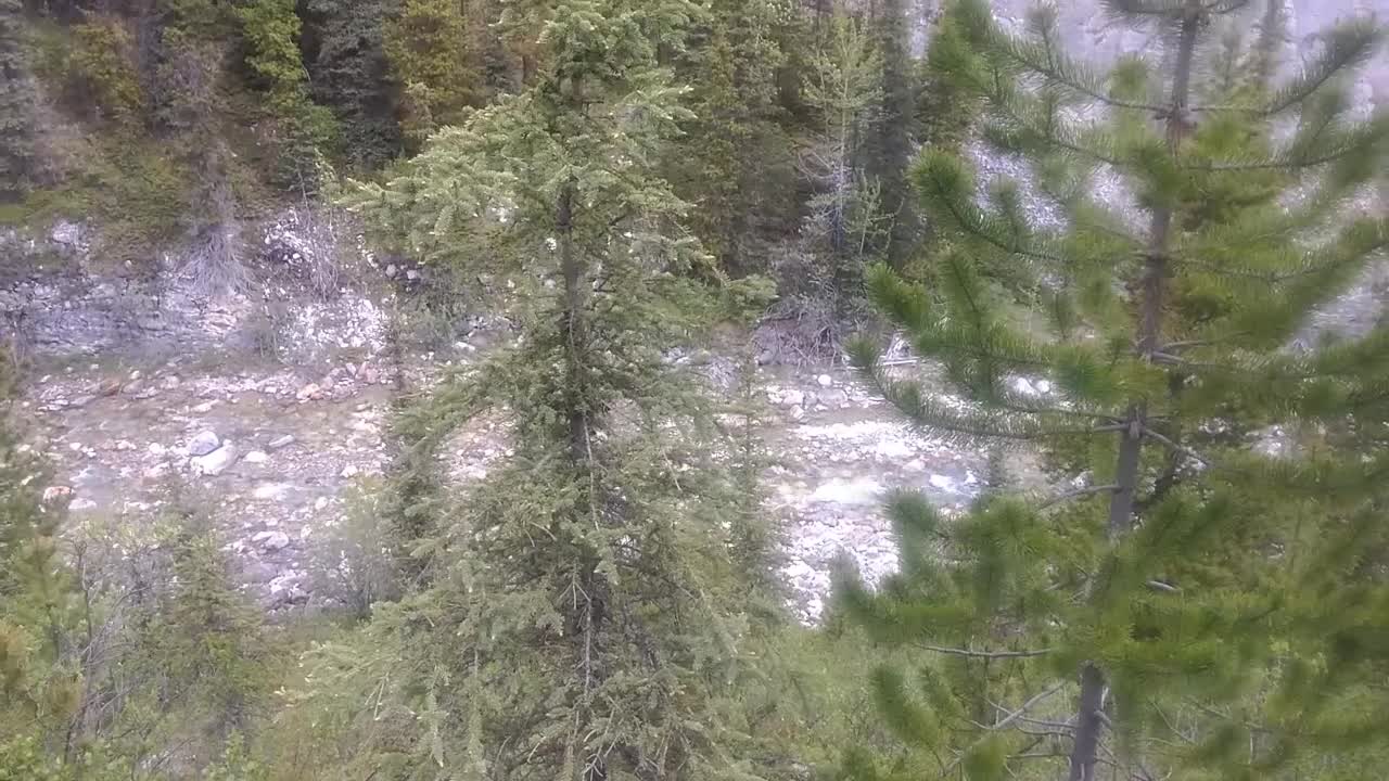 Drive From Atlin To Skagway Alaska - Streams & Rivers