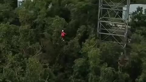 Zipline and more