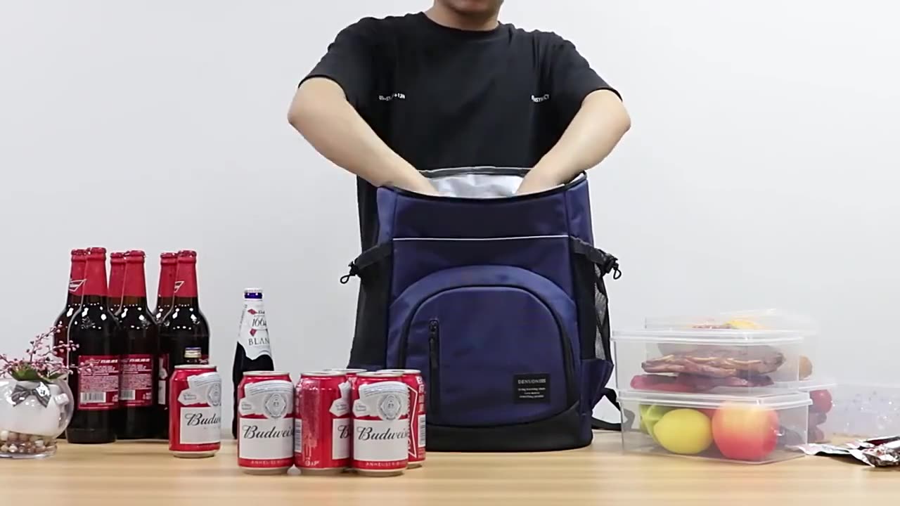 Soft Large Isothermal Fridge Travel Backpack