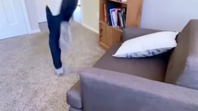 Jump for joy