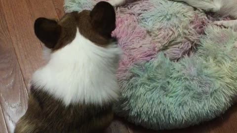 Njord is not getting enough notice